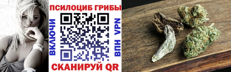 Псилоцибиновые грибы MAGIC MUSHROOMS  blacksprut сайт  Бийск 